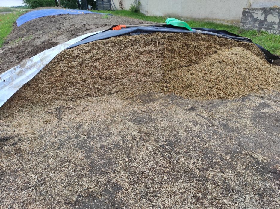 Kiszonka z kukurydzy, lucerna