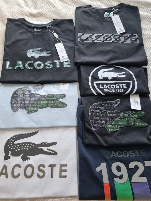 Nowe koszulki Lacoste
