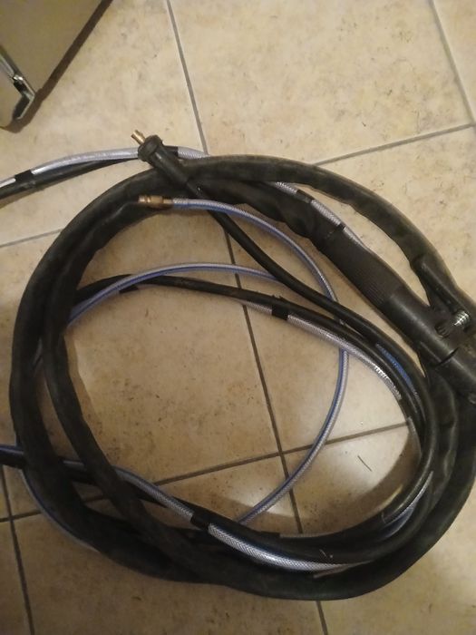 piła szablasta i inne