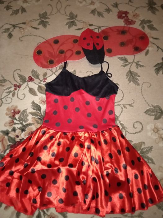 Божья коровка, снегурочка ,карнавальный костюм аниматора