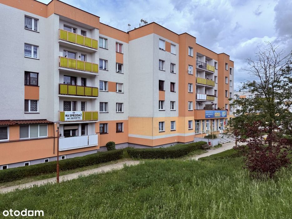 64,52m2/ 3 pokoje/ 1 Pietro w niskim bloku