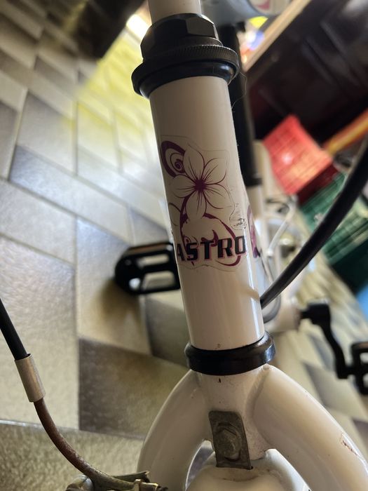 bicicleta venus 12