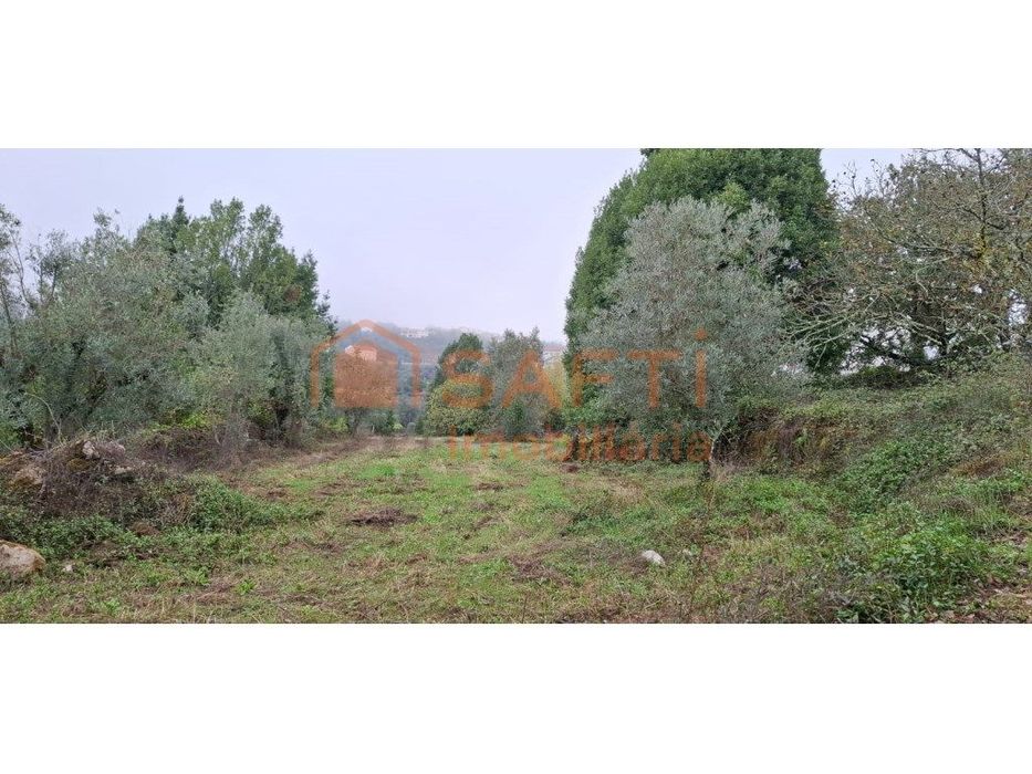 Terreno para construção em aldeia próximo de Coimbra