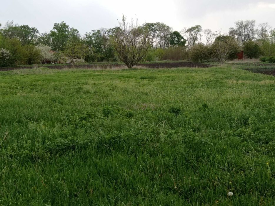 Земельна ділянка під забудову чи с/г використання