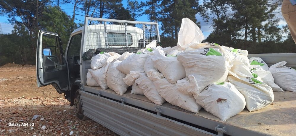 Serviços de Demolições e  Recolha de Entulhos ,Madeiras