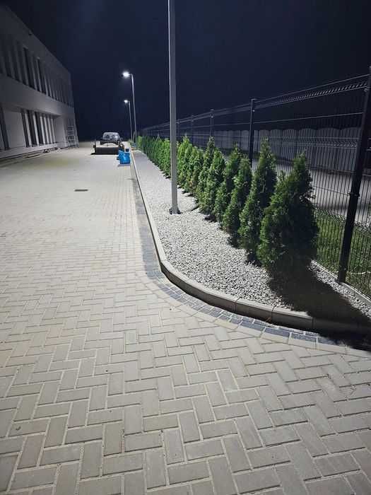 Oferuję usługi ogrodnicze