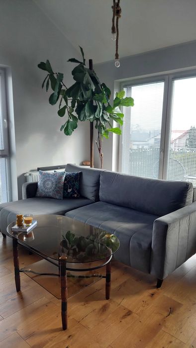 Szary narożnik (Agata meble)