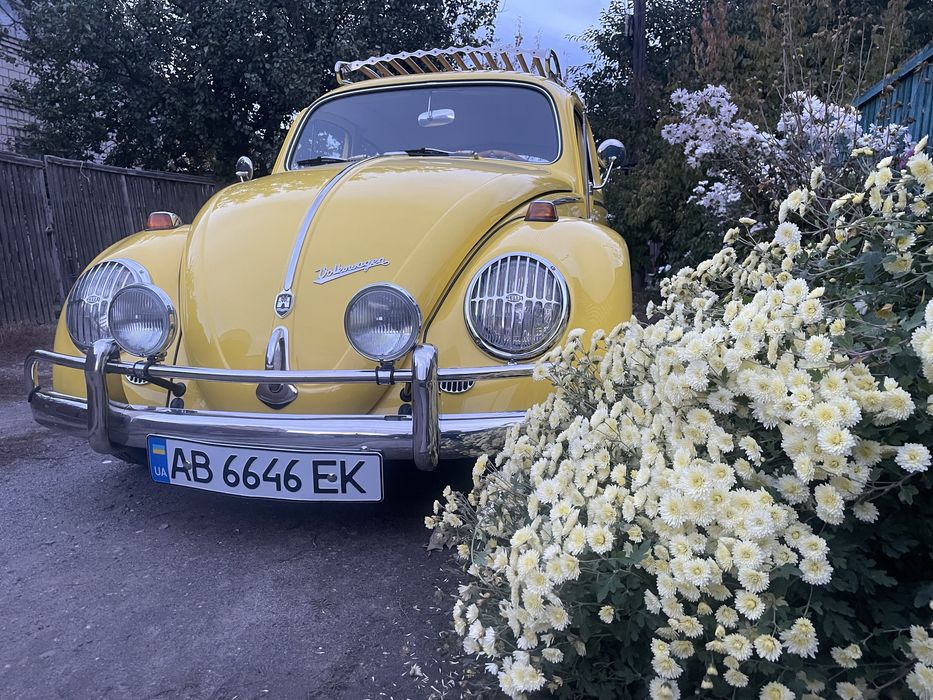 Оренда ретро авто Фольцваген жук кафер