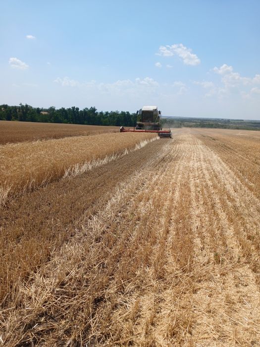 Комбайн Claas Mega 204