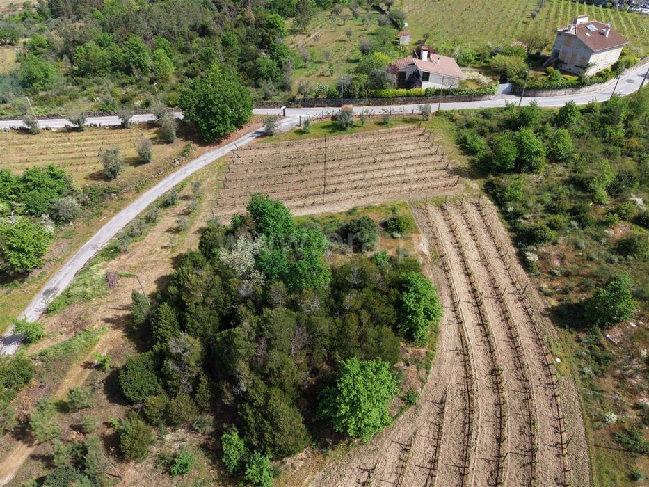 Quinta Rústica Habitável com 4 Hectares + Equipamento Agrícola.

Apres