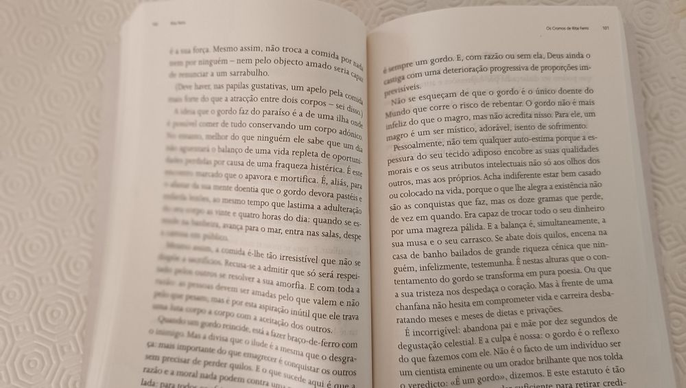 Livro Os Cromos de Rita Ferro