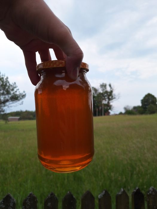 Miód o smaku natury z lasu