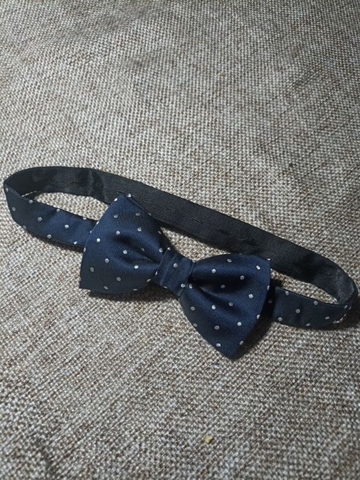 Бабочка, метелик, краватка