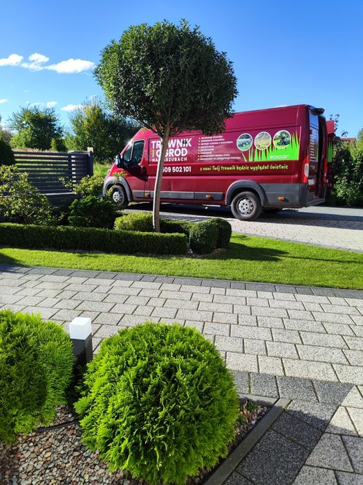 Usługi ogrodnicze aeracja nawadnianie wertykulacja piaskowanie