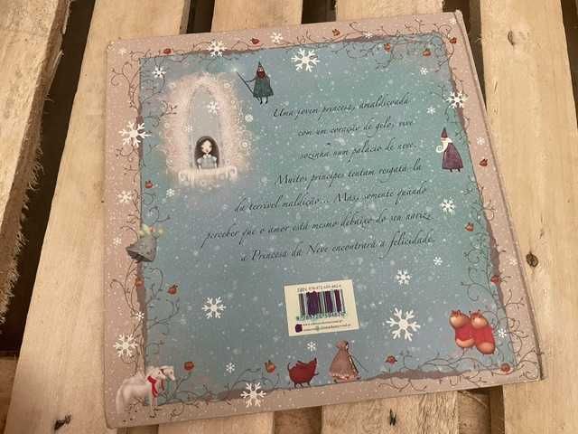 Livro A Princesa da Neve – Emily Hawkins e Lisa Evans, Editora Educação Nacional