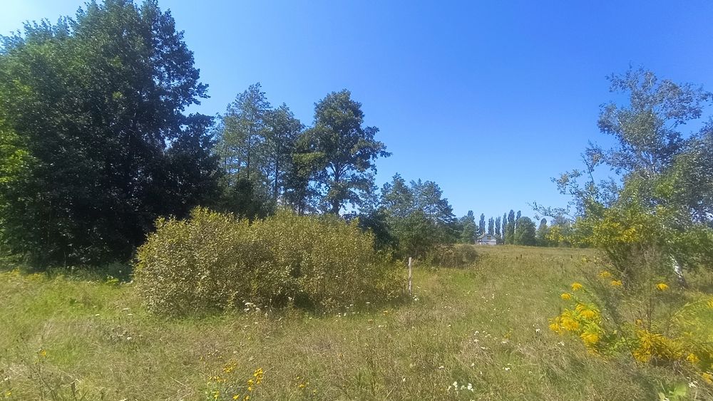 Продам ділянку в селі Соболівка Броварського району