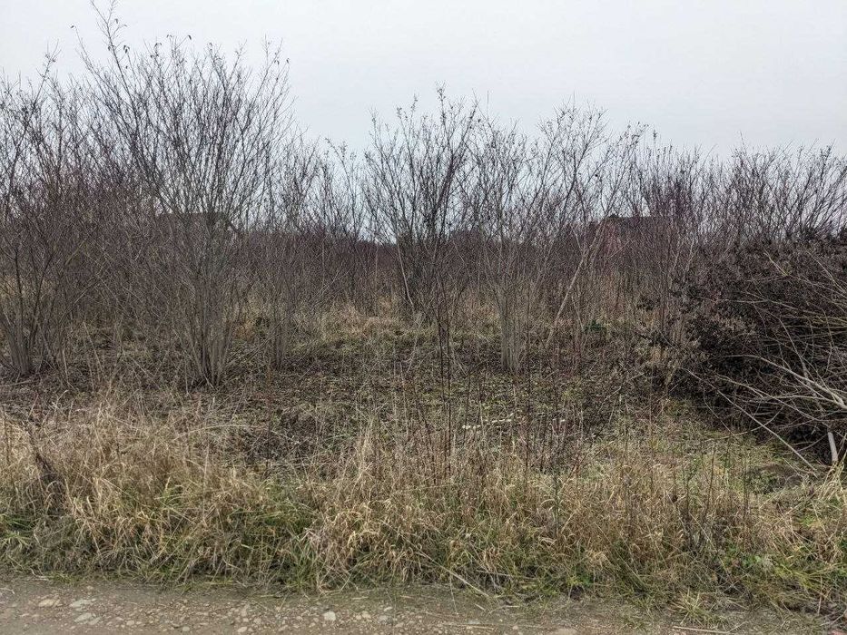 Продається ділянка 6 сот під будівництво в с. Клузів (8)