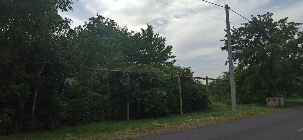 Продам большой участок плодородной земли с домом и хозпостройками.