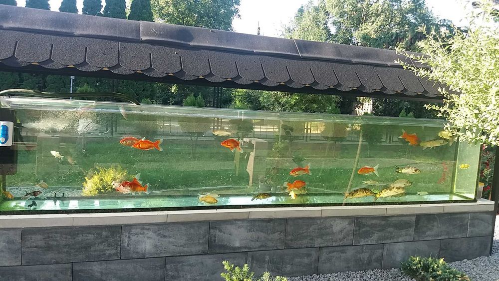 Akwarium proste 120x40x55 - 264 litrów float