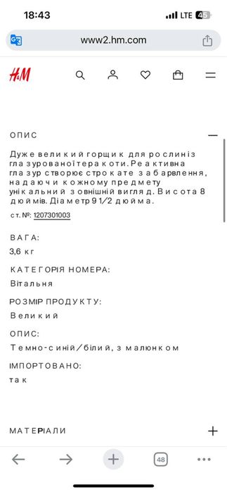 Велике кашпо H&M підвазонник