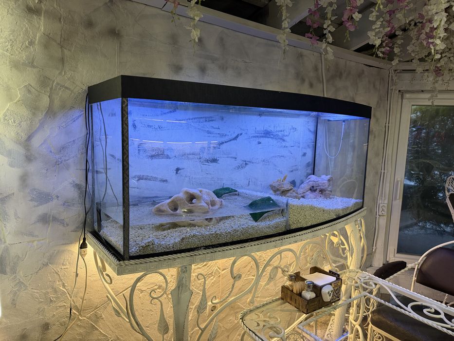 В продажі 2 шт акваріума