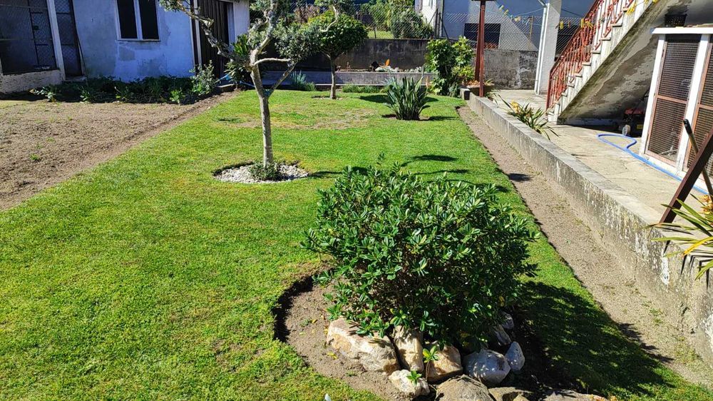 Limpeza de Terrenos e Jardins | Corte de Relva | Porto