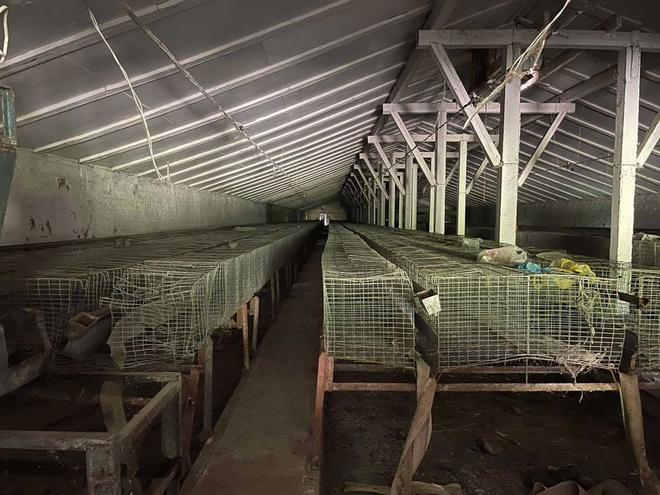 Ферма Киевская обл. Обуховский р-н