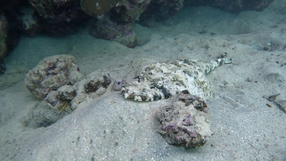 Kamerka GoPro Hero z akcesoriami