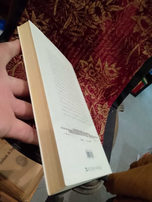 Se eu ficar - Gayle Forman