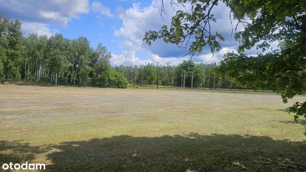 Działka budowlana ze ścianą lasu