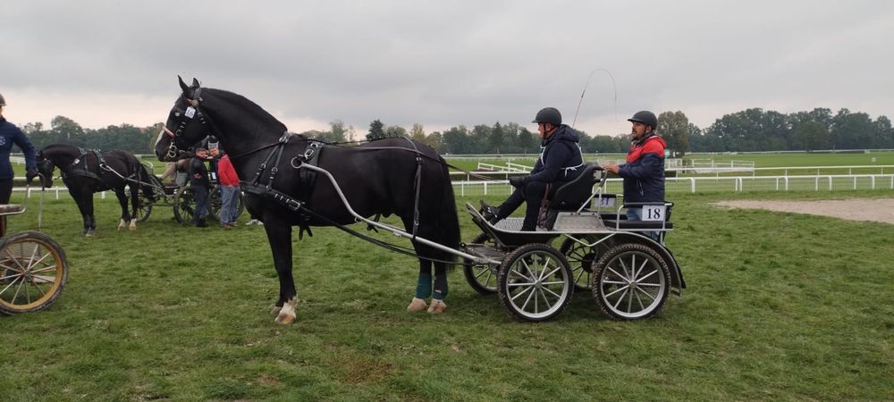 Ogier Śląski Rekrut