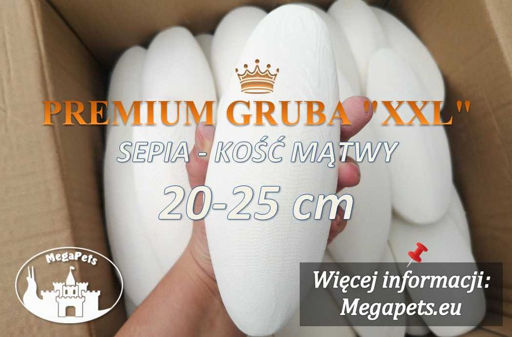 Sepia Kość mątwy PREMIUM XXL Lissachatina Papugi