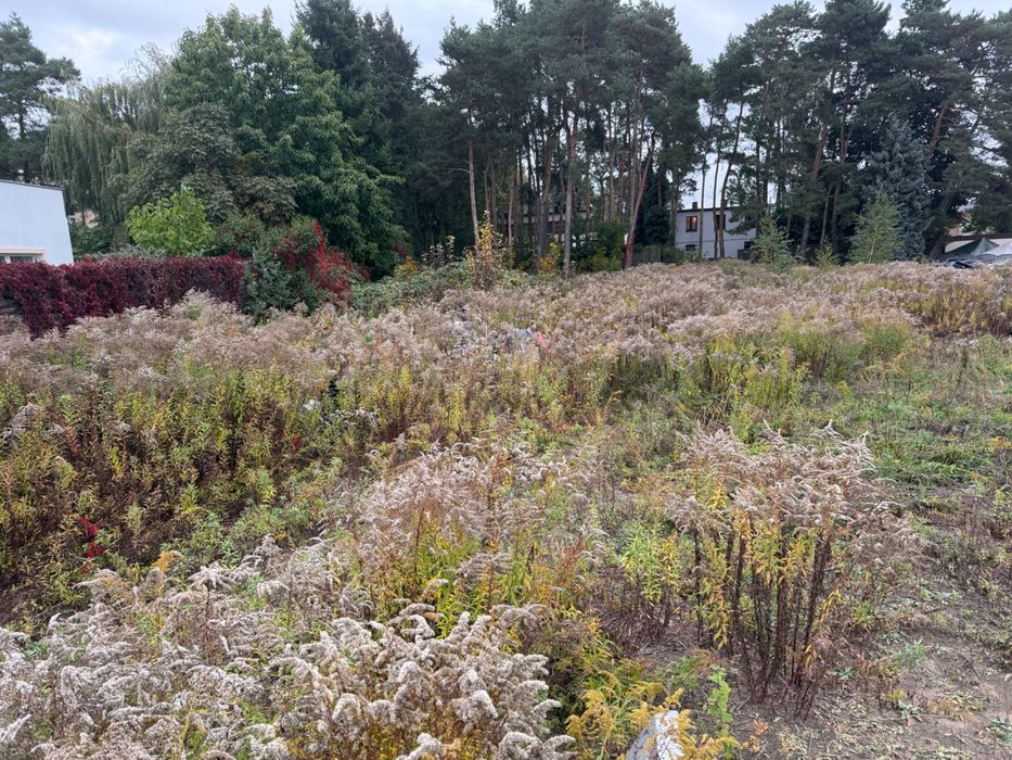 Oddam w dzierżawę działkę