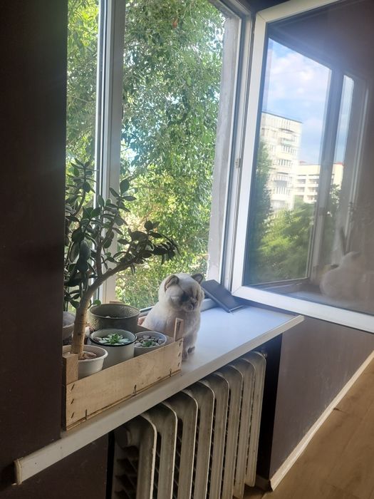 Продам 3 к.кв. проспект Науки, м. Дніпро