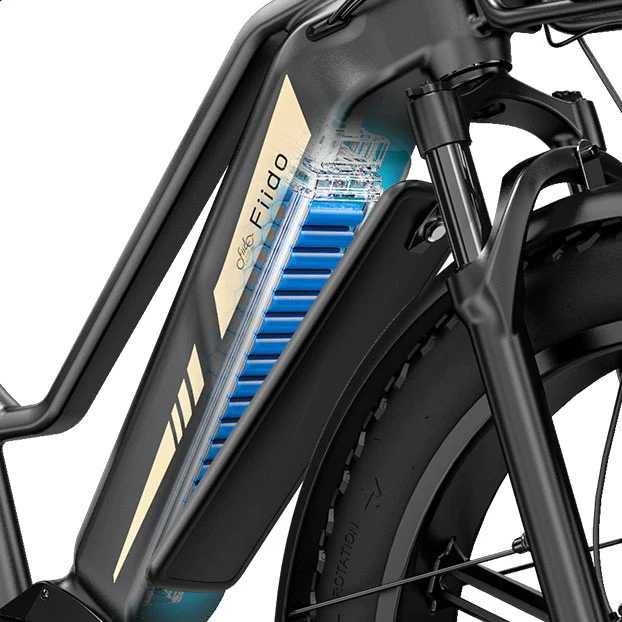 Bicicleta elétrica Fiido Titan Robust Cargo