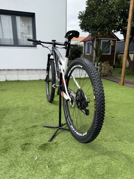 Canyon Lux Word Cup Carbono