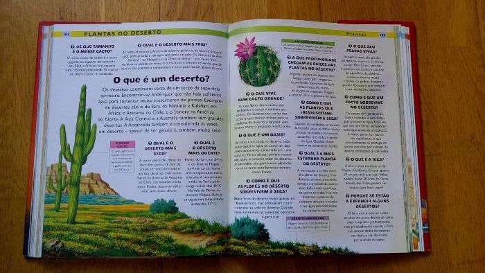 A Enciclopédia das Perguntas e Respostas