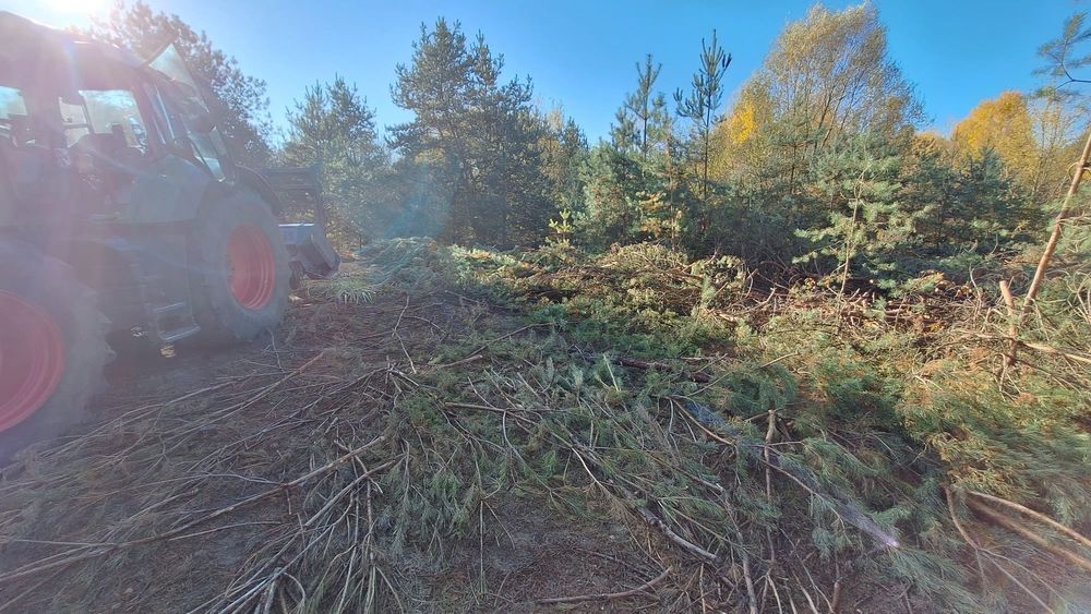 Mulczowanie Wgłębne,Powierzchniowe,Wycinki drzew,Mulczer Leśny Wgłębny