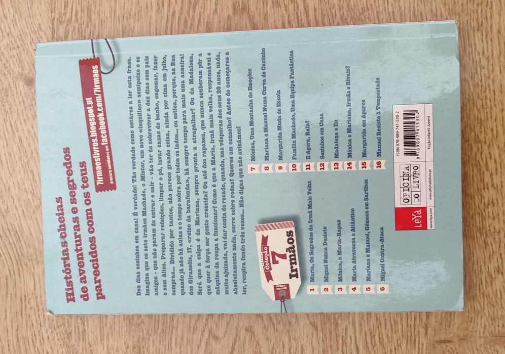 Livro: 7 irmãos sozinhos em casa