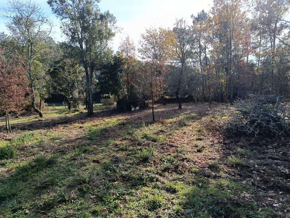 Vende-se quinta Cabeçudo, Sertã