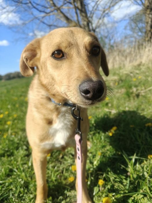 Pokochaj Rite otworz swoj dom