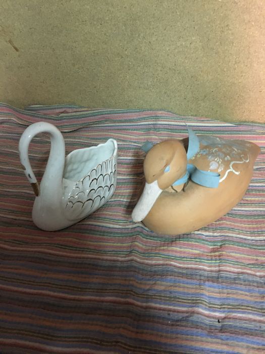 Pato e cisne vendo os 2 juntos