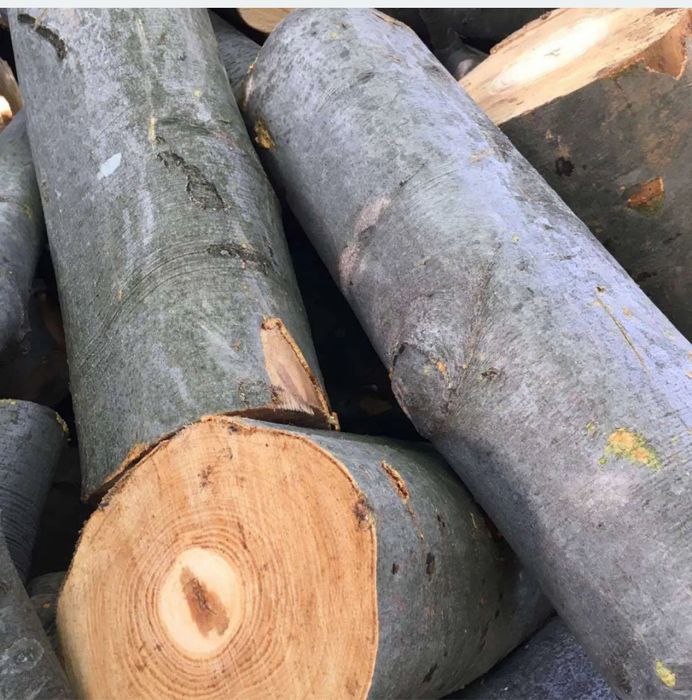 Букові дрова 10м3