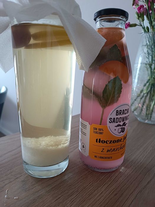 Kefir wodny, kryształki, tibicos