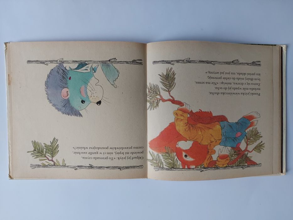 Jeż w grzybnym lesie - Nils Werner