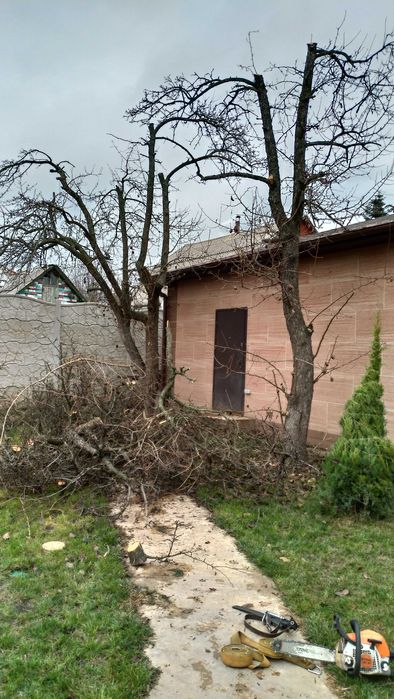 Дробление 1000, измельчение веток (1100 грн/час)