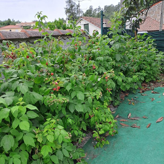Terreno para construçao