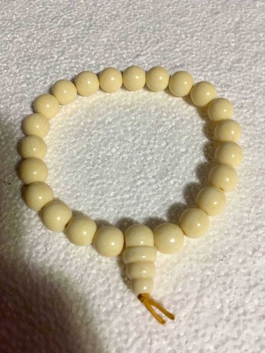 Браслет из редкого минерализованного органического материала