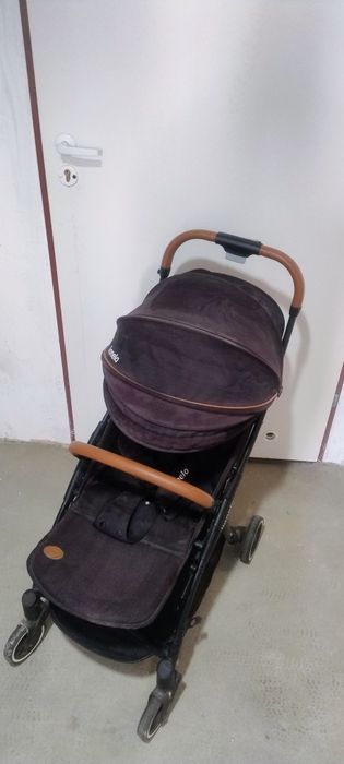 Spacerówka lionello