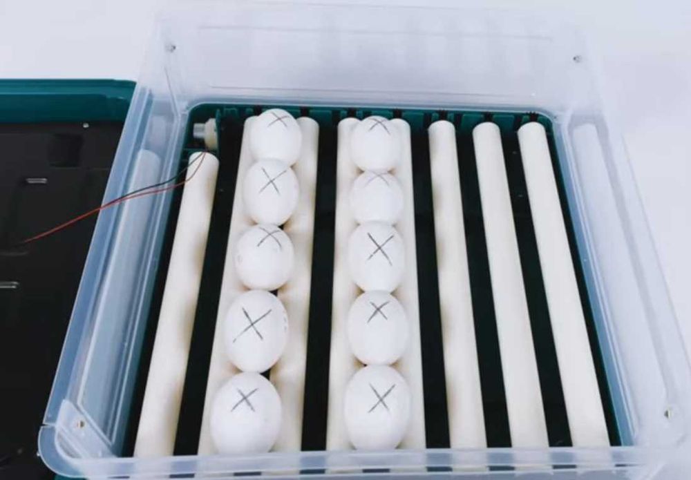 Автоматичний інкубатор 220/12В на 48 яєць Инкубатор пластиковий